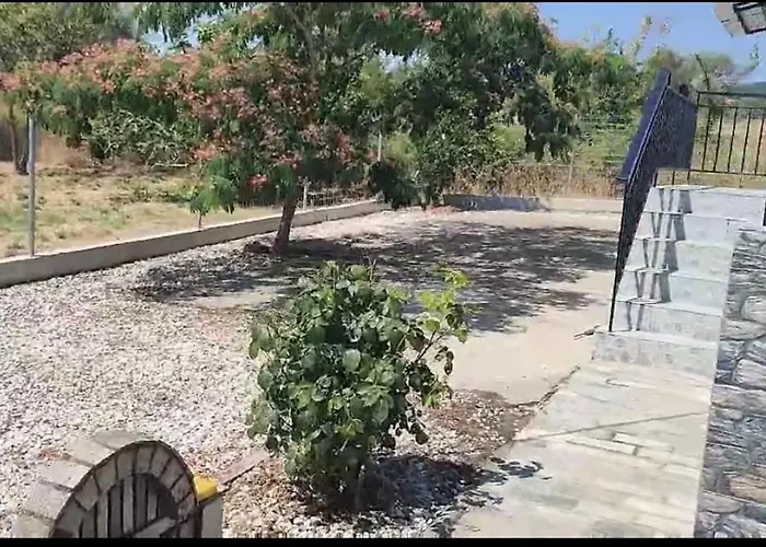 Sokrates Nea Vrasna